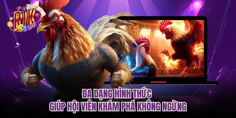 Đa dạng hình thức giúp hội viên khám phá không ngừng