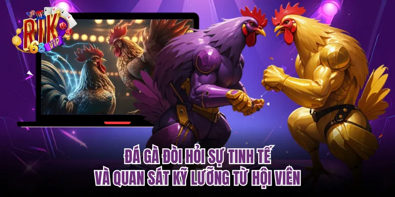 Đá gà đòi hỏi sự tinh tế và quan sát kỹ lưỡng từ hội viên