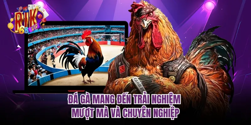 Đá gà mang đến trải nghiệm mượt mà và chuyên nghiệp