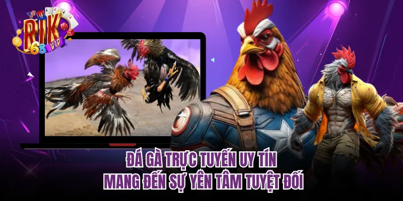 Đá gà trực tuyến uy tín mang đến sự yên tâm tuyệt đối