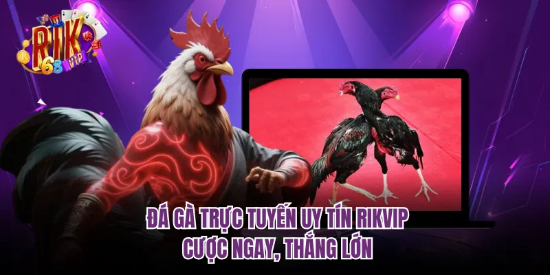 Đá Gà Trực Tuyến Uy Tín RIKVIP - Cược Ngay, Thắng Lớn