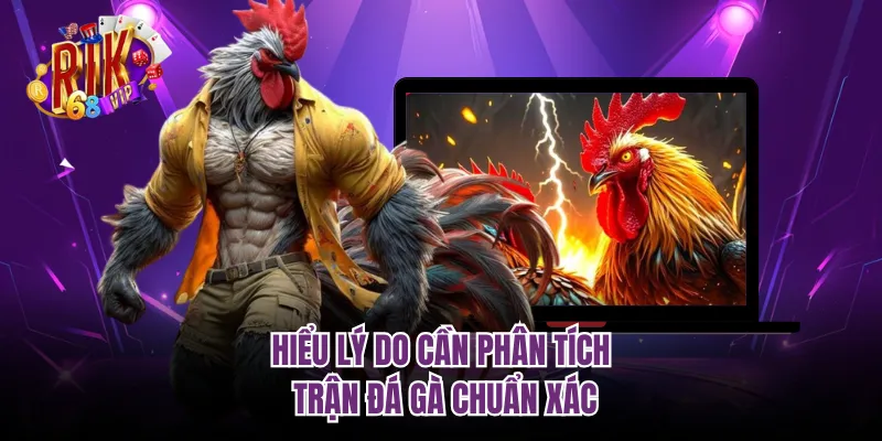 Hiểu lý do cần phân tích trận đá gà chuẩn xác
