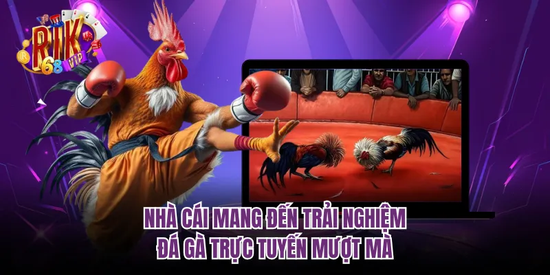 Nhà cái mang đến trải nghiệm đá gà trực tuyến mượt mà
