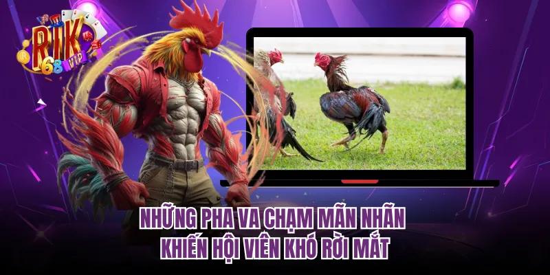 Những pha va chạm mãn nhãn khiến hội viên khó rời mắt