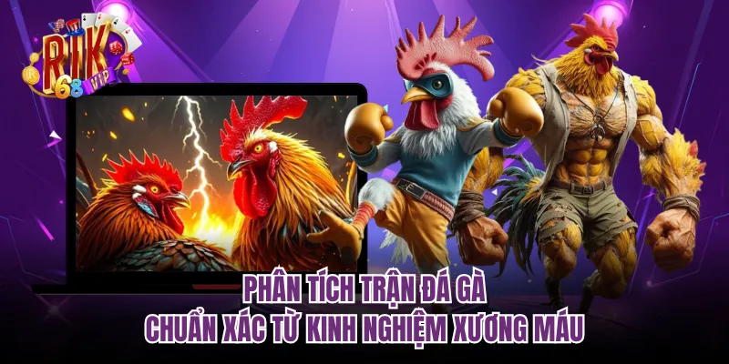 Phân Tích Trận Đá Gà Chuẩn Xác Từ Kinh Nghiệm Xương Máu