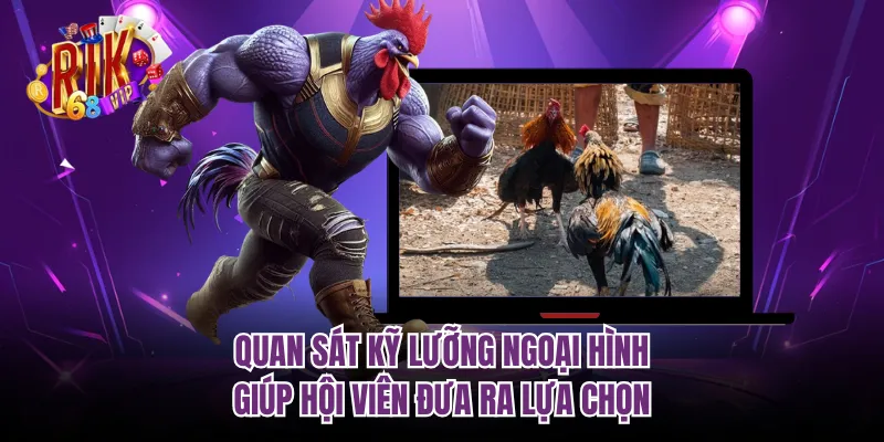 Quan sát kỹ lưỡng ngoại hình giúp hội viên đưa ra lựa chọn