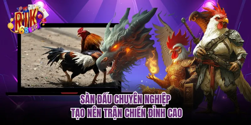 Sàn đấu chuyên nghiệp tạo nên trận chiến đỉnh cao