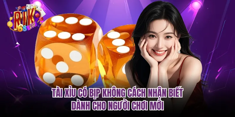 Tài Xỉu Có Bịp Không Cách Nhận Biết Dành Cho Người Chơi Mới