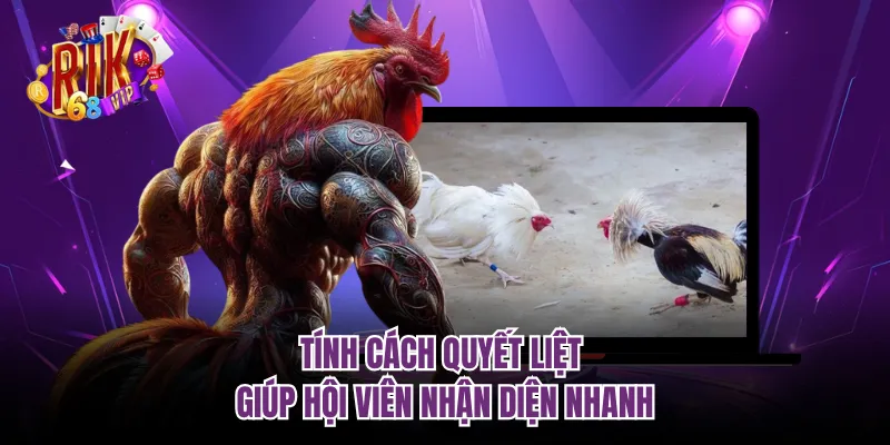 Tính cách quyết liệt giúp hội viên nhận diện nhanh