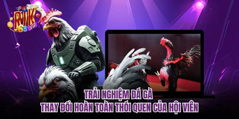 Trải nghiệm đá gà thay đổi hoàn toàn thói quen của hội viên